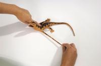 Gumové strečové potvory, 20-30cm, 6 druhů